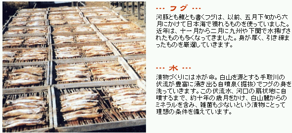 身が厚く、引き締まったものを厳選していきます。