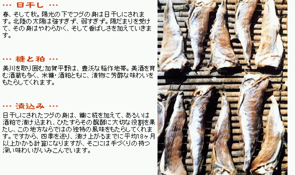 日干しにされたフグの身は、糠に糀を加えて、あるいは酒粕で漬け込まれ、ひたすらその醗酵に大切な役割を果たし、この地方ならではの独特の風味をもたらしてくれます。