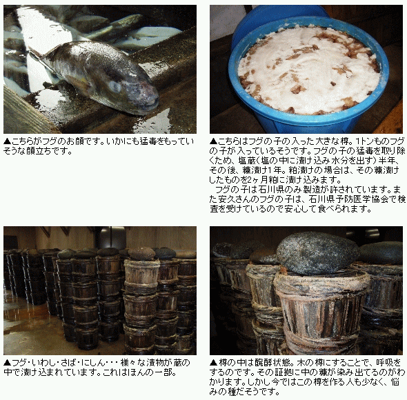 石川県美川町はふぐの糠漬け・粕漬けの老舗が並ぶ町。こちらの安久さんは創業100年以上の老舗です。