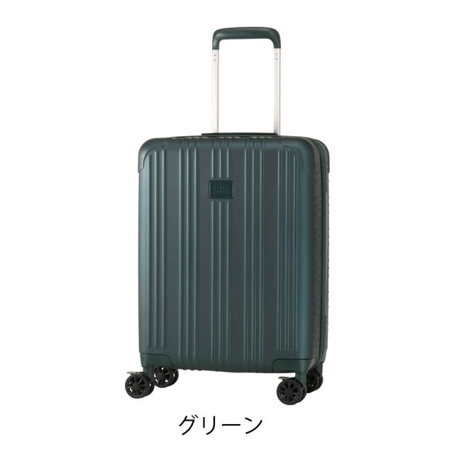 【レビュー投稿で+5％還元】タケオキクチ スーツケース ファスナー ELG001 TAKEO KIKUCHI 35L 2.2kg 機内持ち込み ビジネス 軽量 キャリーケース キャリーバッグ 出張 トラベル 旅行バッグ 国内旅行 海外旅行 旅行 クリスマス_mp