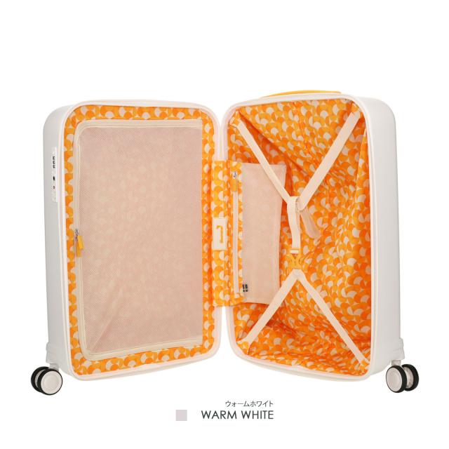 【レビュー投稿で+5％還元】イノベーター スーツケース 別注 IND19 軽量 38L 55cm 1.9kg innovator キャリーケース キャリーバッグ TSAロック搭載 旅行 トラベル 2年保証 sh_of agesugi_sfa クリスマス_mp