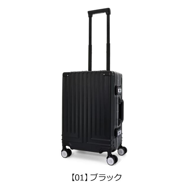 【レビュー投稿で+5％還元】ランバンオンブルー スーツケース 機内持ち込み 32L 49cm 3.4kg 当社限定色グレー ヴィラージュ 595313 LANVIN en Bleu｜汚れ防止カバー付き フレーム キャリーケース キャリーバッグ ビジネスキャリー 軽量 静音 旅行 クリスマス_mp