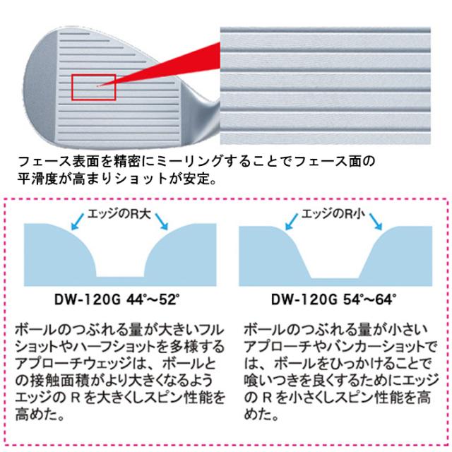 キャスコ　DW-120G　カラーカスタム　セミグースネック　ドルフィンウェッジ　イオミック装着　N.S.PRO950GH neo　Dolphin Wedge　DW120G　　レアモノ