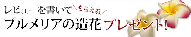 レビューを書いてプレゼント