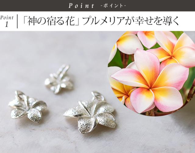 プルメリア アクセサリー
