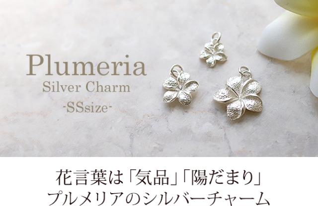 プルメリア シルバーチャーム