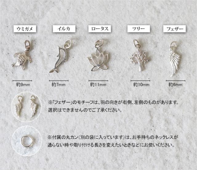 バリエーション