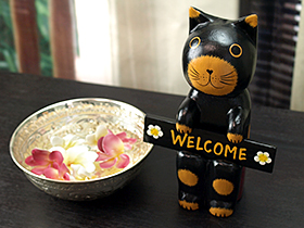 バリ猫 ウェルカム