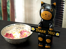 バリ猫 サンキュー