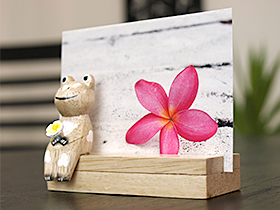 カード立て　カエル