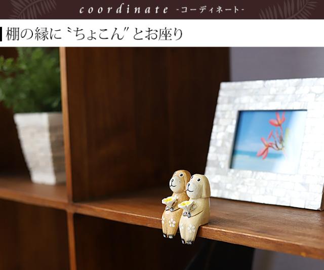 バリ犬（ナチュラル）