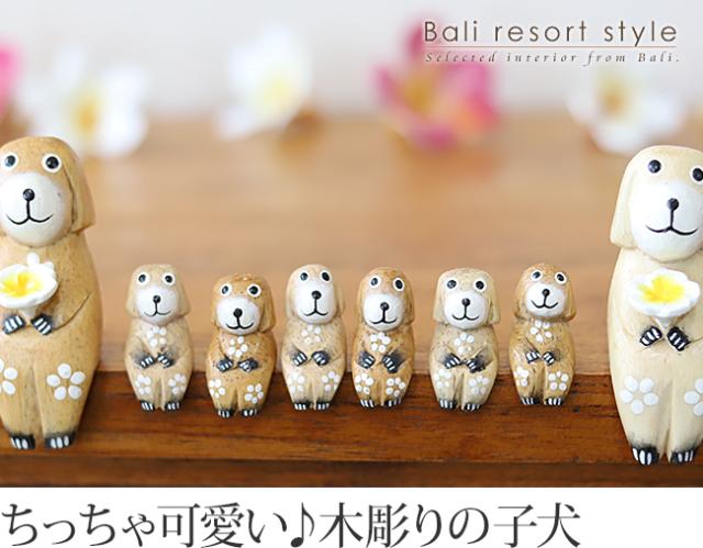 バリ犬S用の子犬販売（通販）