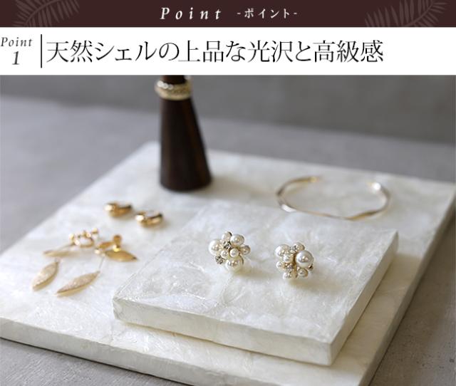 シェル製 ディスプレイプレート