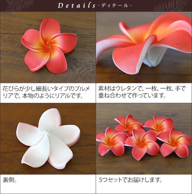 南国のお花　プルメリア　赤
