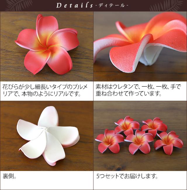 南国のお花　プルメリア　赤