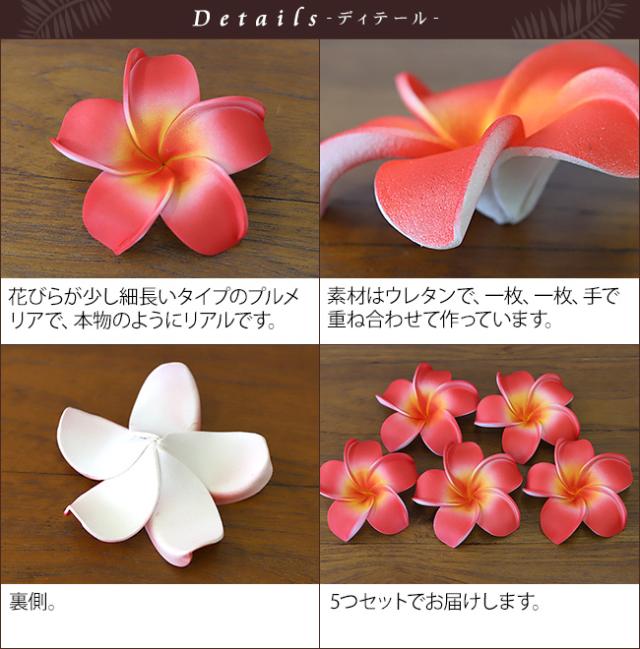 南国のお花　プルメリア　赤
