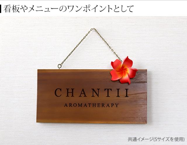 看板　バリ風　ハワイアン