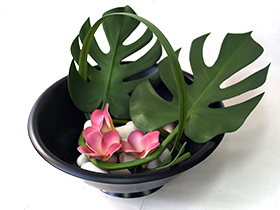 トロピカル　アレンジ