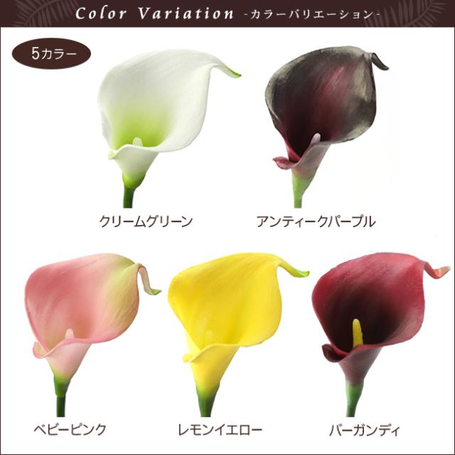 カラーリリィ リアル