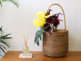 カラーリリィ アジアン