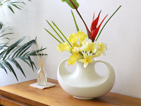 カラーリリィ ハワイアン