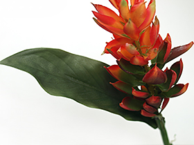 フェイクフラワー ジンジャー(エキゾチック)