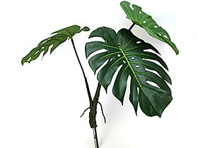 アートリーフ　モンステラ