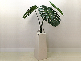 モンステラ　バリ雑貨