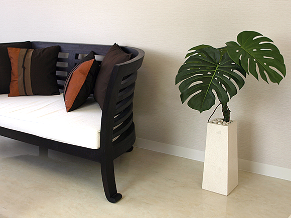 モンステラ　スパ・サロン