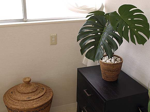 モンステラ　アジアンコーディネート