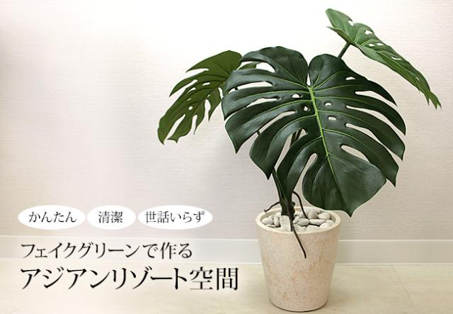 フェイクグリーン「モンステラ株立ちタイプ」の販売（通販）