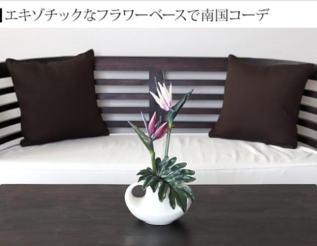 ストレリチア アジアン