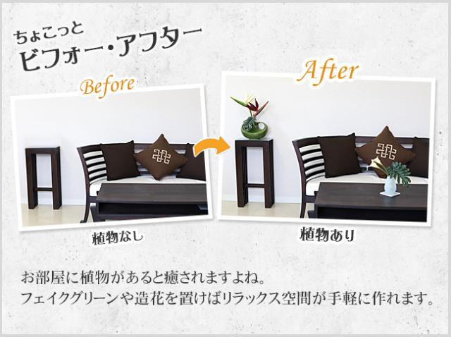 ビフォーアフター 植物があると癒されます