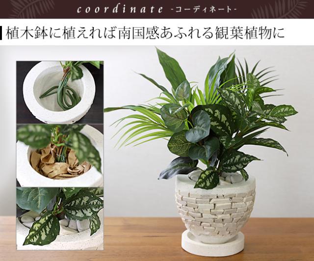 観葉植物 フェイクグリーン