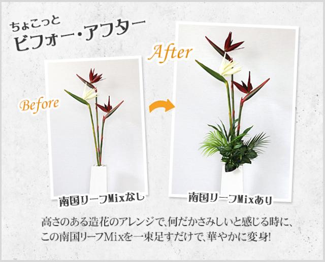 ビフォーアフター