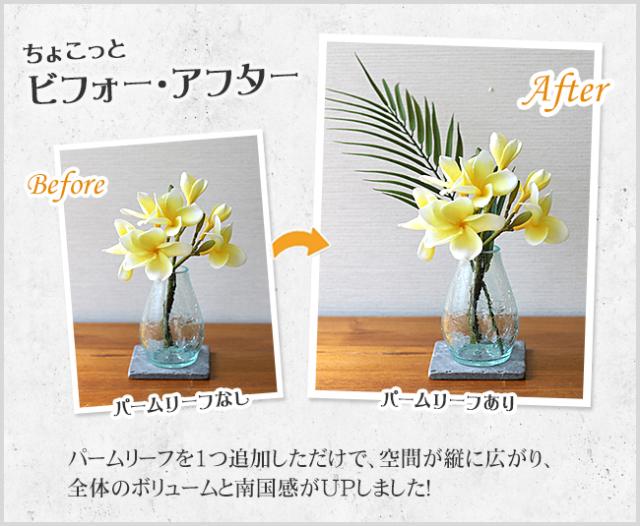 パームリーフ　ビフォーアフター