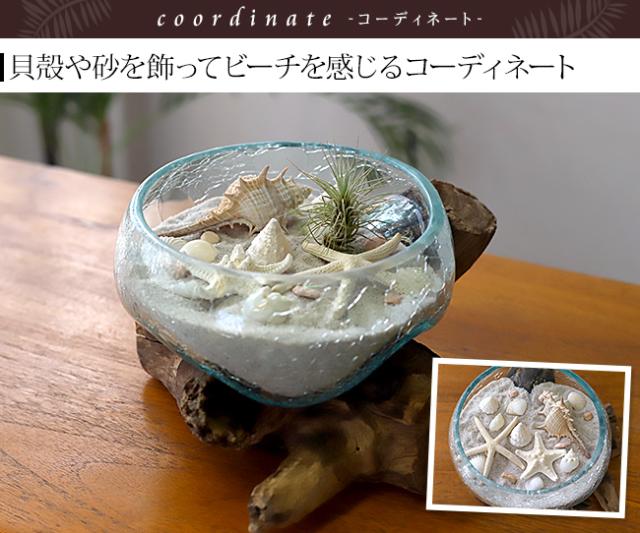 流木 貝殻 コーディネート