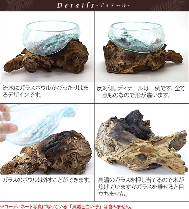 バリ島　流木とガラス　テラリウム