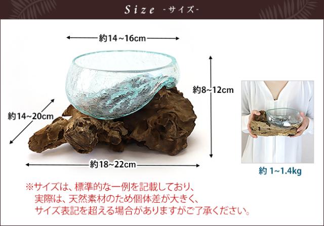 サイズイメージ