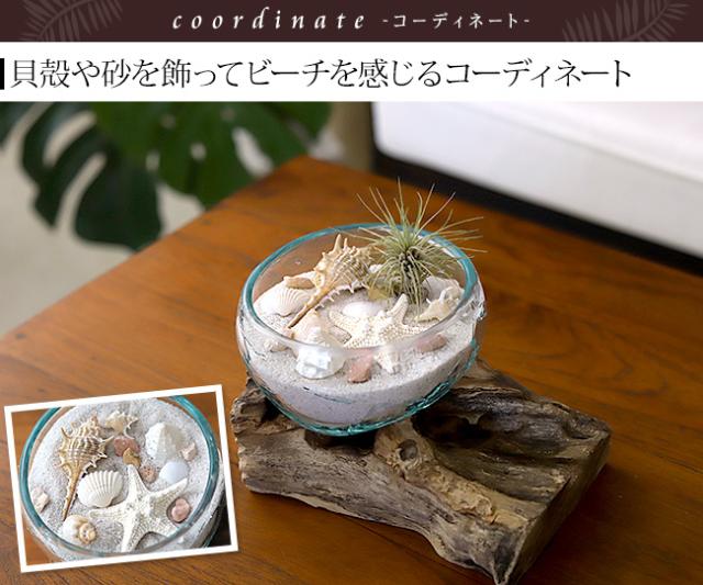 バリガラス×天然木のオブジェ(S) インテリア 流木 オブジェ