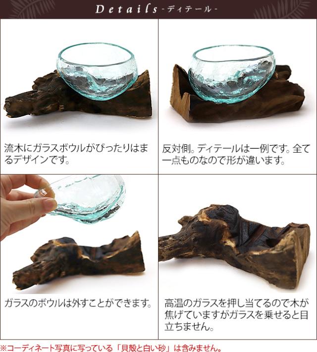 バリ島　流木とガラス　テラリウム