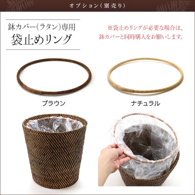 オプション(別売り)