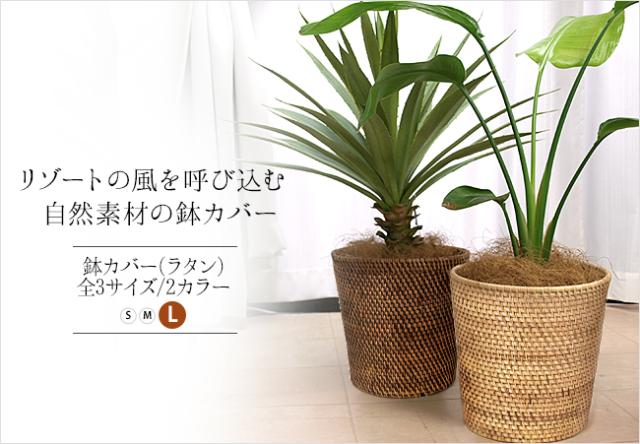 バリの鉢カバー(ラタン)の販売(通販)