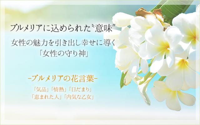 プルメリア 花言葉