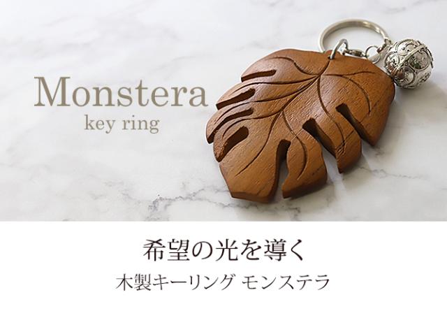 モンステラ キーリング