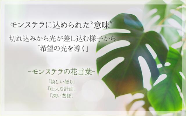 モンステラ 花言葉