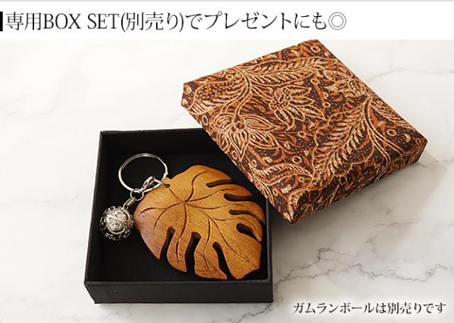 モンステラ 贈り物 ギフト