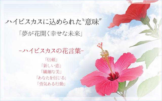 ハイビスカス 花言葉