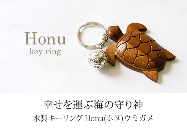 ウミガメ キーリング