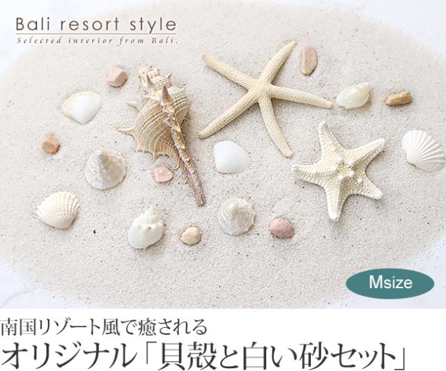 貝殻と白い砂のセット(詰め合わせ)販売(通販)
